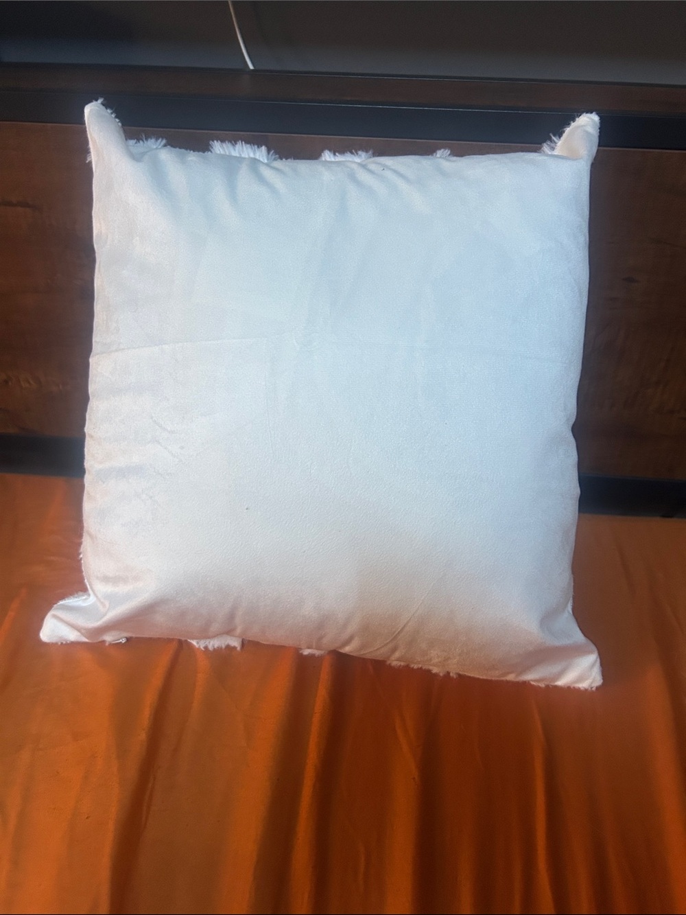 BNIB Ghost Accent Pillow Cover, set of 2, 16 x 16, White - Picture 4 of 6